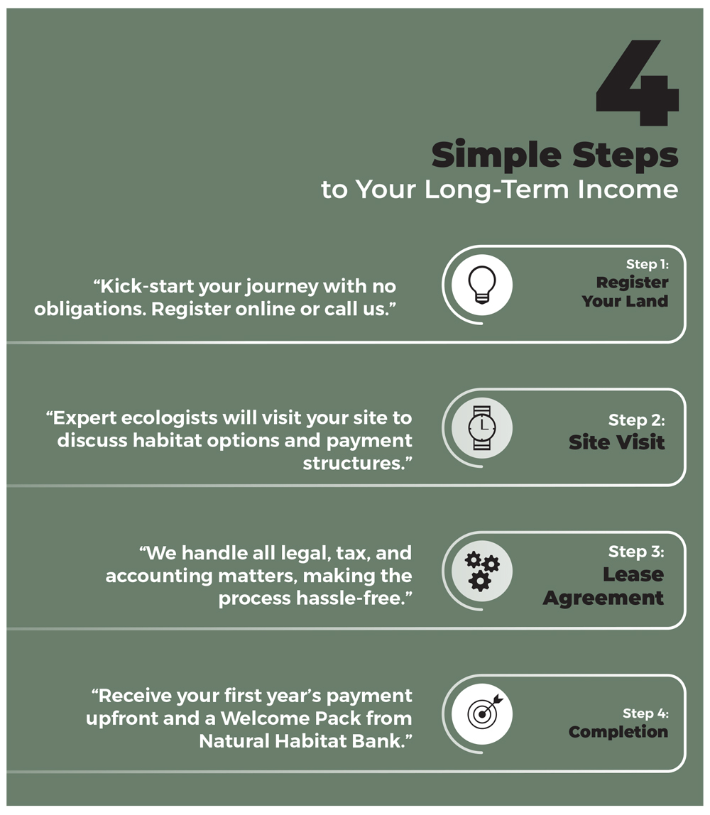 4 steps to long term income
